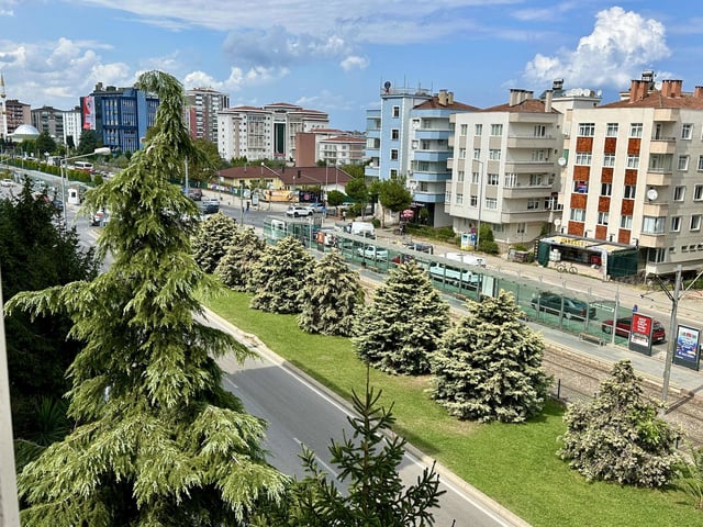 RAYLIYA CEPHE 3+1