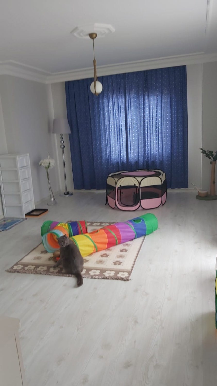 YAKAÇIK ÇARŞI MAHALLESİNDE SATILIK 2+1 DAİRE