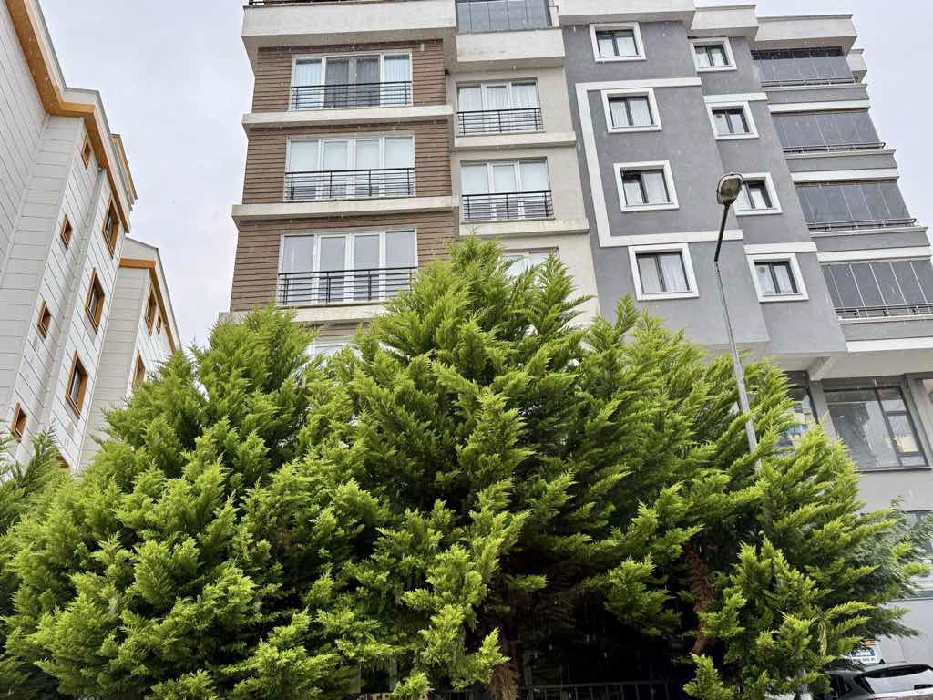 ASUMAN MÜTEVELLİOĞLU’NDAN PELİTKÖY’DE SATILIK EŞYALI ARAKAT 1+1 DAİRE