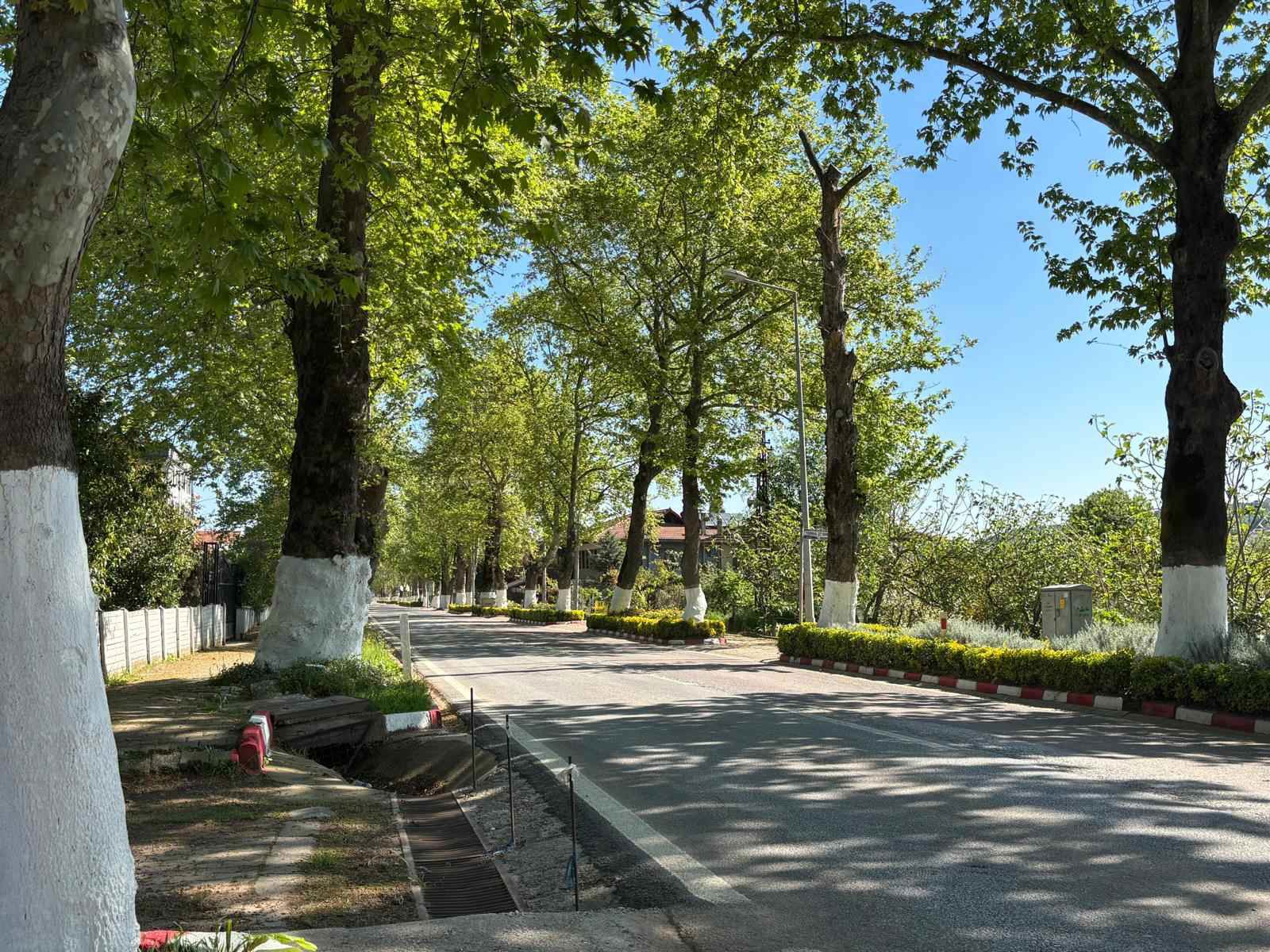REMAX ŞEHİR YALOVA KADIKÖY'DE SATILIK GENİŞ 1+1 DAİRE