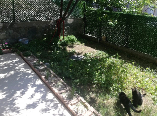 Konsept Apart Bahçeli Eşyalı