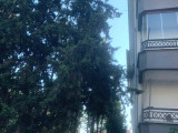 Ankara Esentepe Sahibinden Satılık