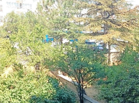 Türkiş Blokları 2+l Salon