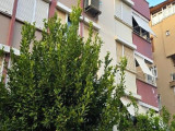 Sahibinden Doğalgazlı Günısılı 3+1 Daire