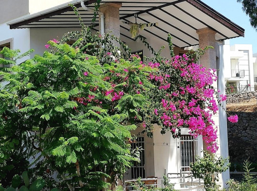 Bodrum Akyarlar ve Karaincir denizine düz ayak yaya 2 dakika mesafede bahçeli villa daire