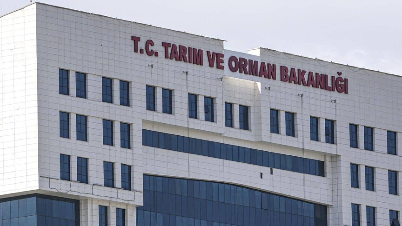 Beyaz Peynir Ürünleri Piyasadan Çekildi, Yasal Uygunluk Sağlanmadı